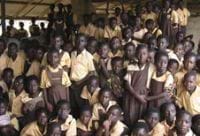 "Wee" Peddlers Invade Schools - NACOB Raises Alarm